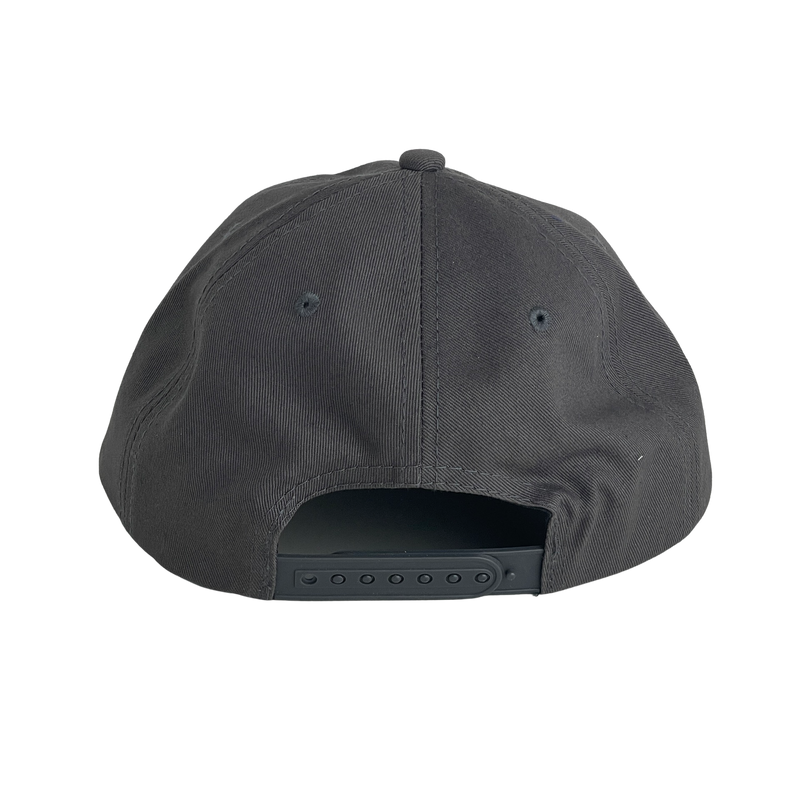 OG LOGO DAD HAT